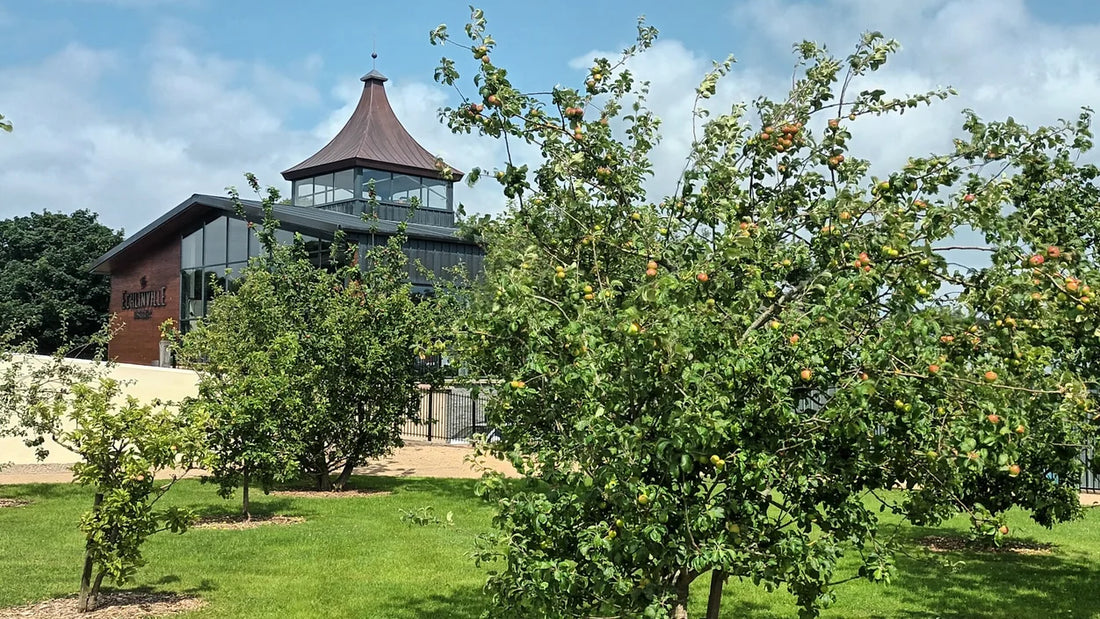 Spot the Difference: The 8 Types of European Whisky Distillery