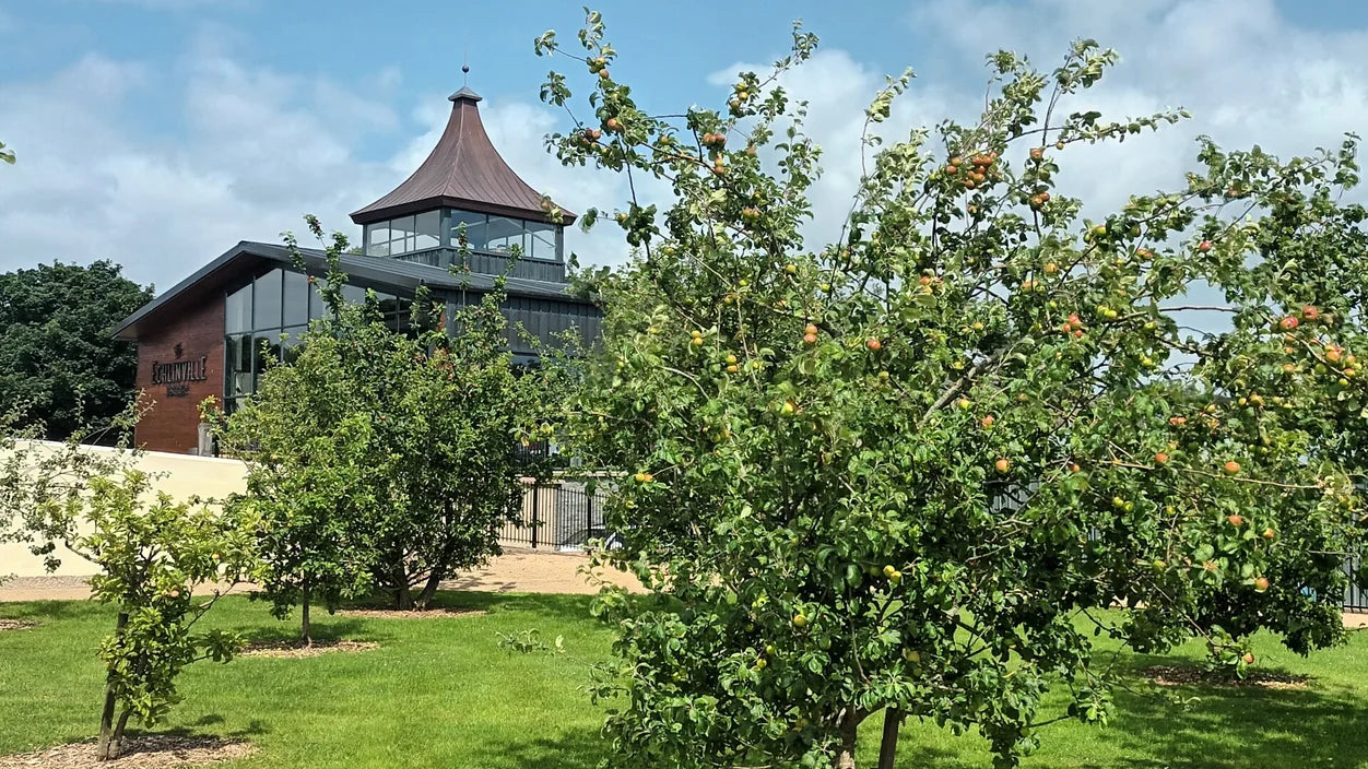 Spot the Difference: The 8 Types of European Whisky Distillery