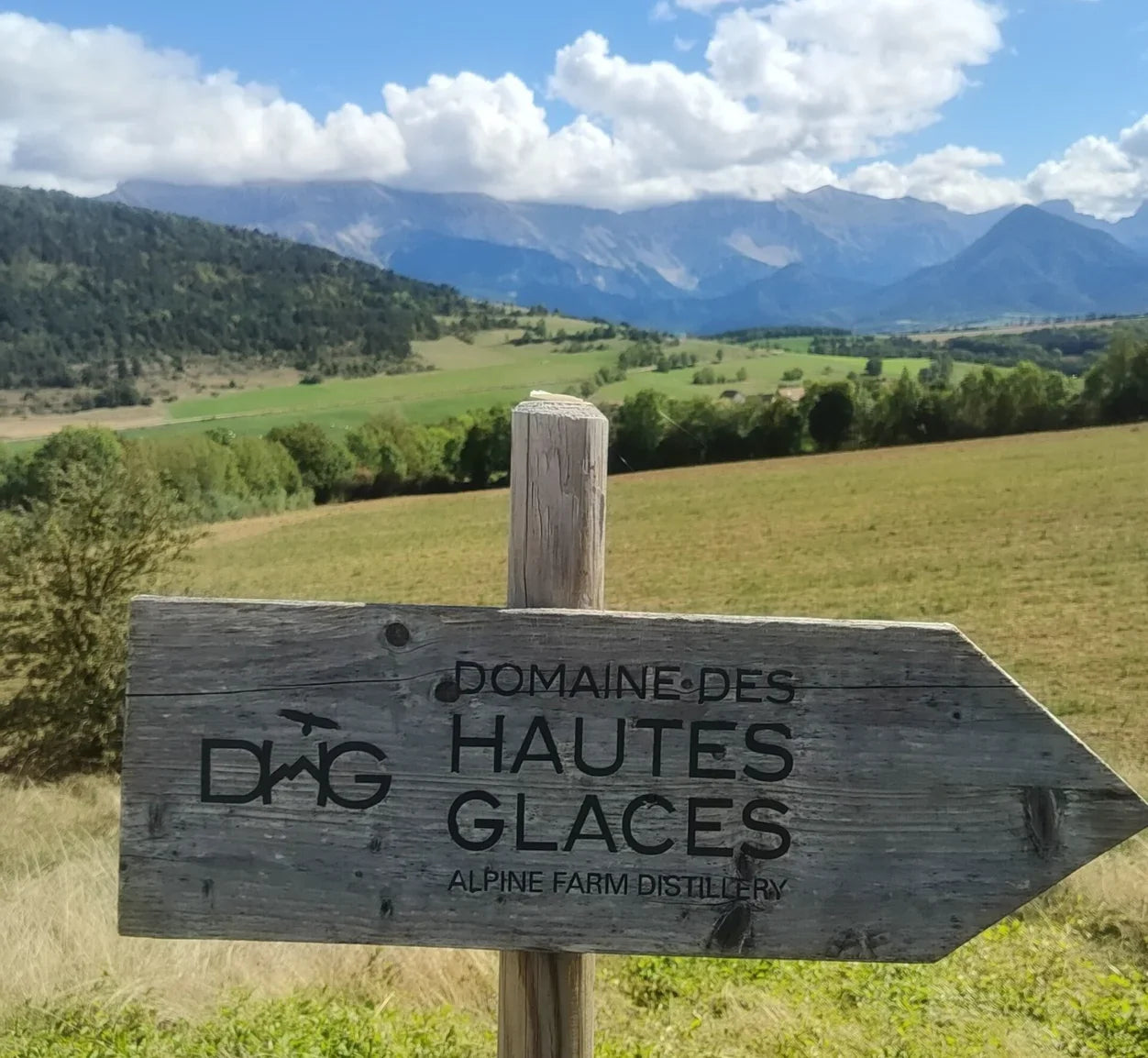 Rye High in the Hills - French Whisky with a View at the Domaine des Hautes Glaces